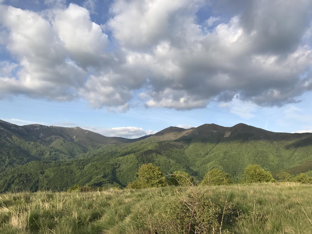 Lodge Zeleni Svet Crni Vrh Luaran gambar