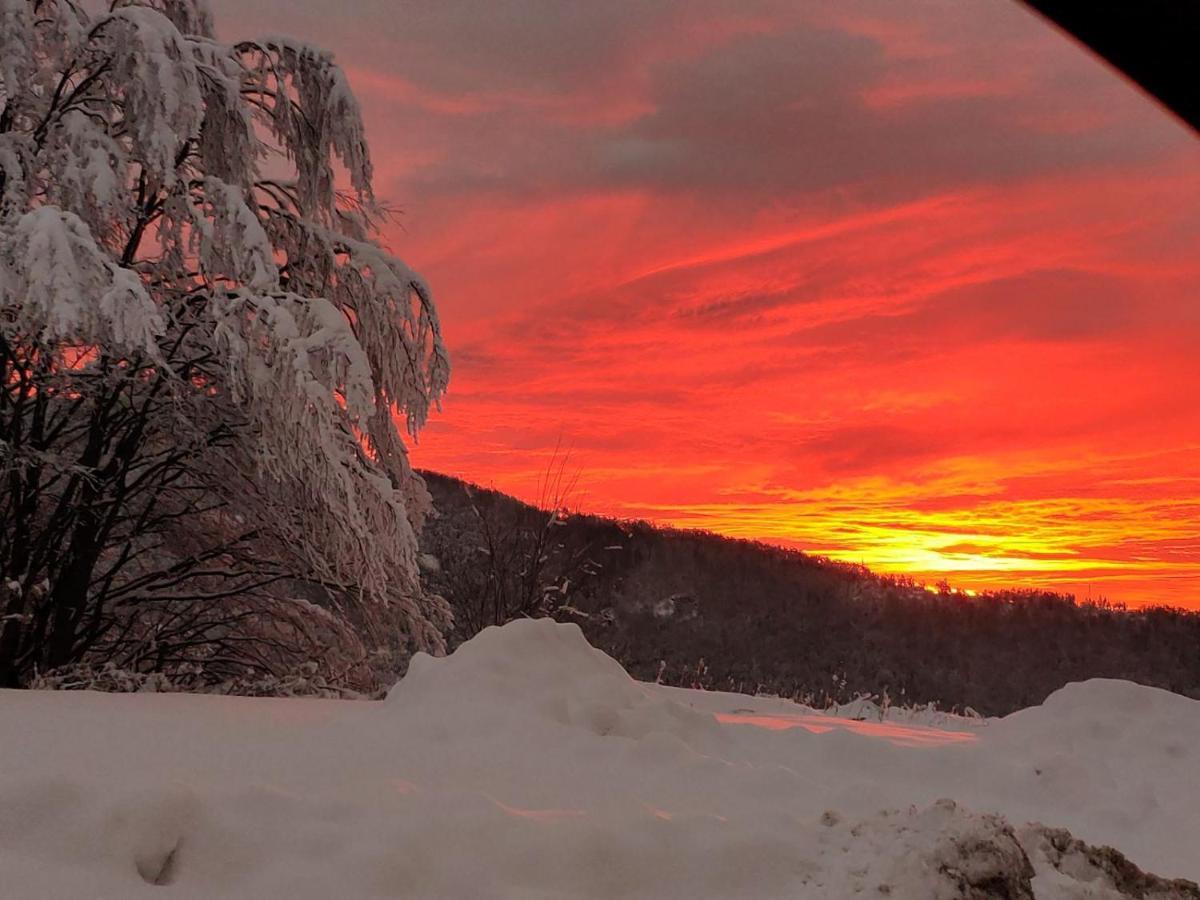 Lodge Zeleni Svet Crni Vrh Luaran gambar