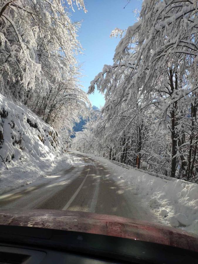 Lodge Zeleni Svet Crni Vrh Luaran gambar